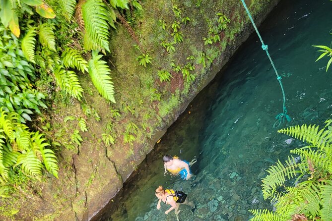 Relax in Hot Springs and swim in Titou Gorge and Trafalgar Falls - Titou Gorge: the most memorable hour