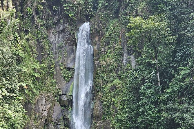 Relax in Hot Springs and swim in Titou Gorge and Trafalgar Falls - Trafalgar Falls: twin cascades and a short forest visit