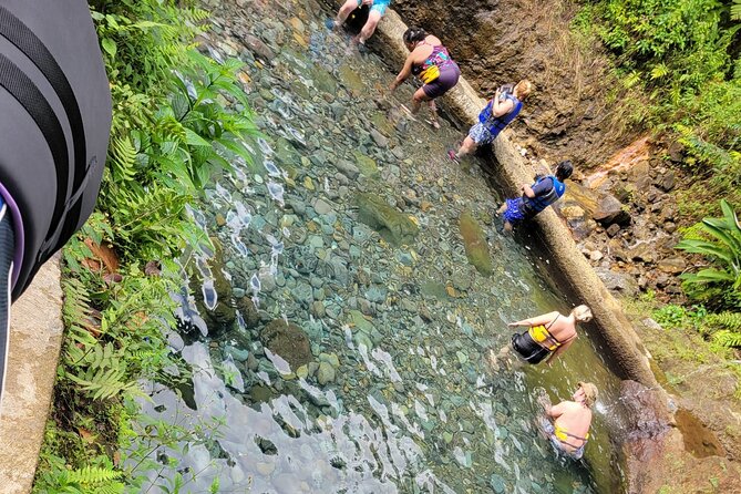 Relax in Hot Springs and swim in Titou Gorge and Trafalgar Falls - Timing, admission fees, and the real cost