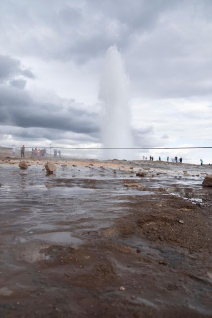 Reykjavík: Golden Circle, Blue Lagoon & Northern Lights Tour - The bus, group, and guide shape the day