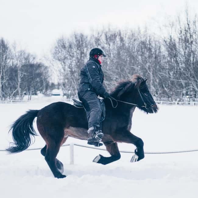 Reykjavik: Golden Circle, Farm & Sky Lagoon Small-Group Tour - Is $235 a fair price?