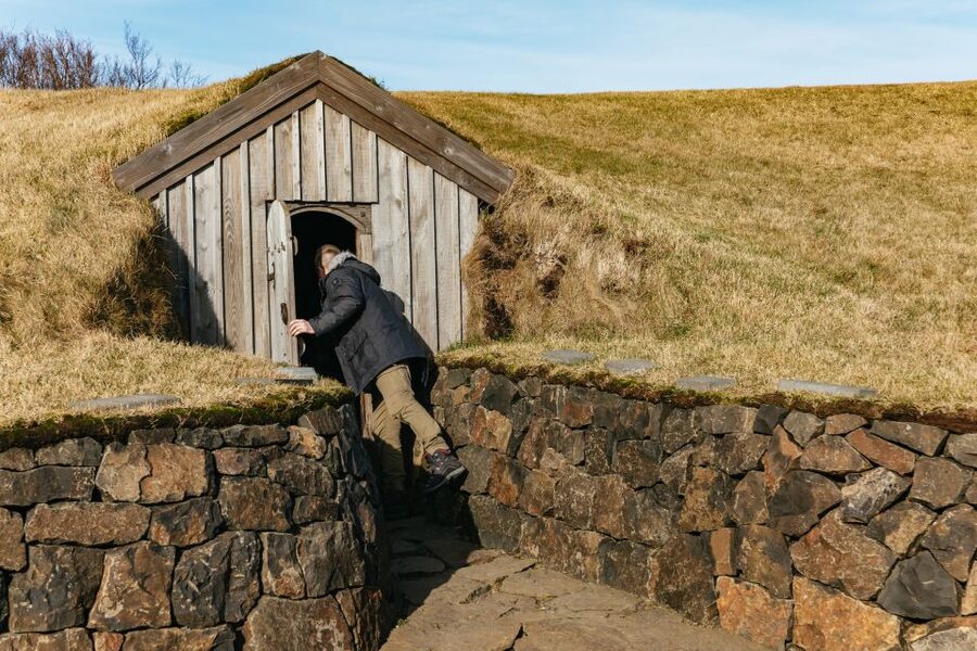Reykjavik: Silver Circle Tour, Canyon Ride, & Thermal Baths - The transport works well, with a few limits