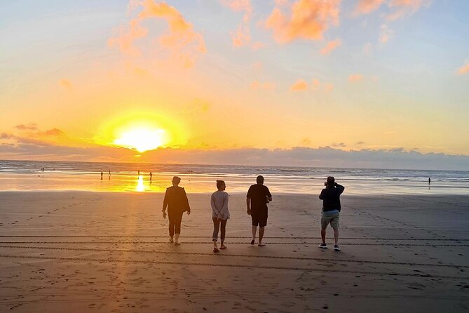 Romantic Auckland Sunset tour with Winery & Thermal pool - What the $279.26 price really buys