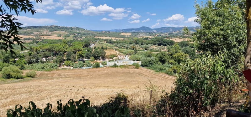 Rome to Saturnia ; Thermal Springs Day Trip with Lunch - Free time in Saturnia’s thermal water