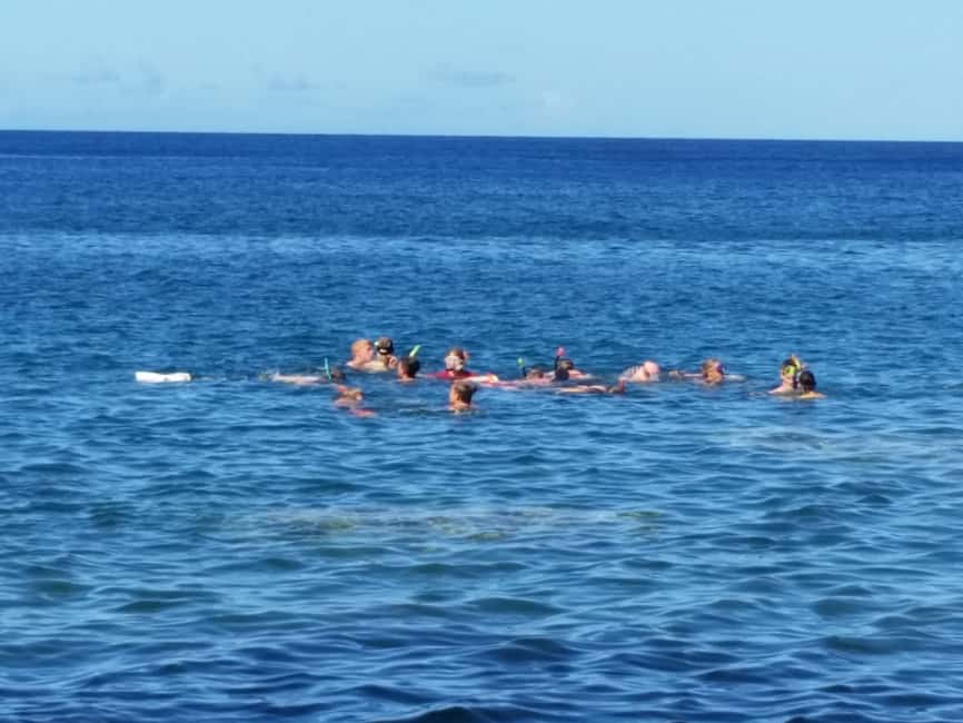 Roseau: Titou Gorge, Hot Spring, Falls & Champagne Reef Tour - Key Points Before You Book