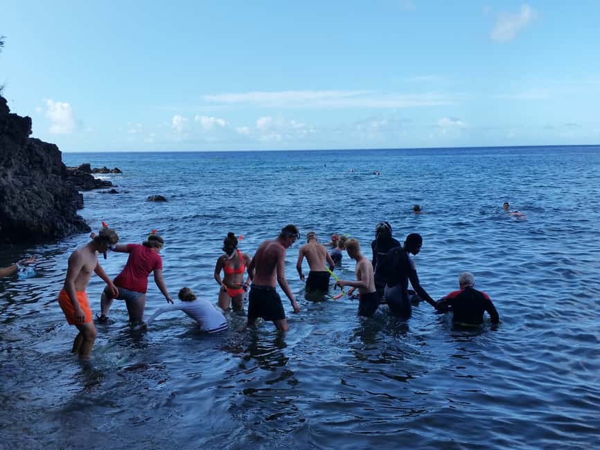 Roseau: Titou Gorge, Hot Spring, Falls & Champagne Reef Tour - Should You Book It?