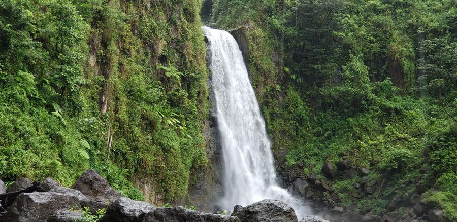 Roseau: Titou Gorge, Hot Spring, Falls & Champagne Reef Tour - A Wet Start at Champagne Reef