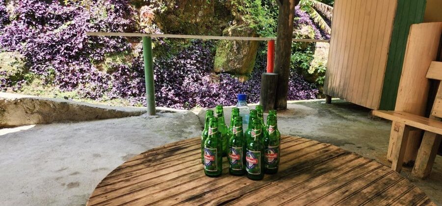 Roseau: Titou Gorge, Hot Spring, Falls & Champagne Reef Tour - A Short Visit to Roseau’s Botanical Gardens