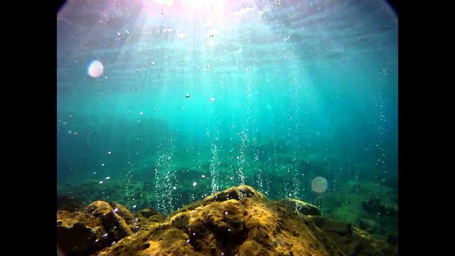 Roseau: Titou Gorge, Hot Spring, Falls & Champagne Reef Tour - What the $115 Price Includes
