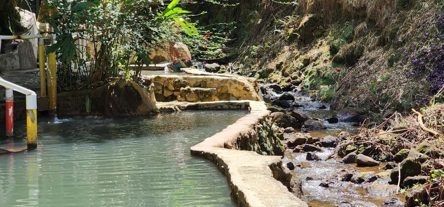 Roseau: Titou Gorge, Hot Spring, Falls & Champagne Reef Tour - Who Should Book This Tour?