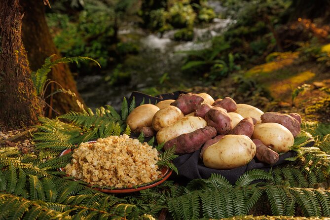 Rotorua Cultural & Geothermal Small Group Tour From Auckland - Should you book this Auckland to Rotorua tour?
