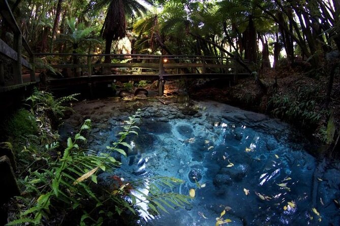 Rotorua Cultural & Geothermal Small Group Tour From Auckland - The early start from Auckland