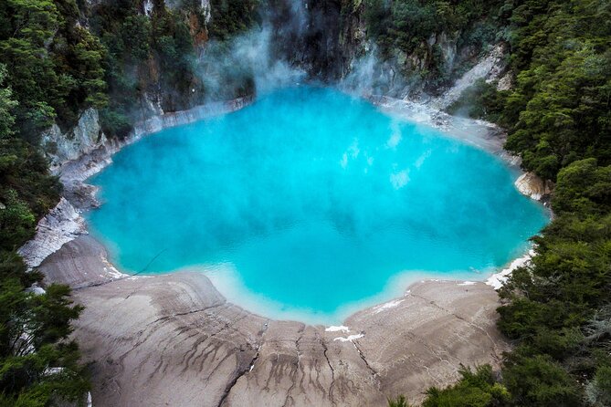 Rotorua Geothermal Living Maori Village Tour Whakarewarewa 6.5hours Tour - Is the $166.93 price fair?