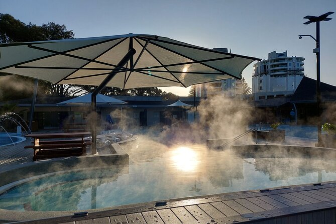 Rotorua Geothermal Wonderland Tour – Departs Tauranga - The kiwi viewing area adds a welcome change of pace