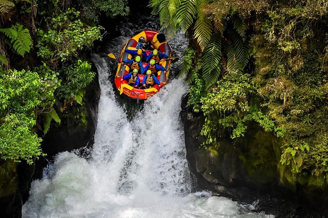 Rotorua Geothermal Wonderland Tour – Departs Tauranga - A short walk among Rotorua’s redwoods