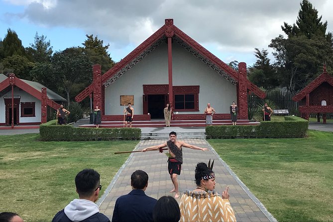 Rotorua Geothermal Wonderland Tour – Departs Tauranga - Te Puia brings Māori culture and geothermal power together