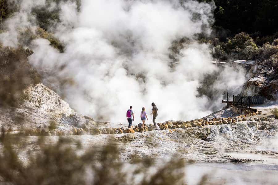 Rotorua: Hell's Gate Geothermal Walk - Is the $26 price good value?