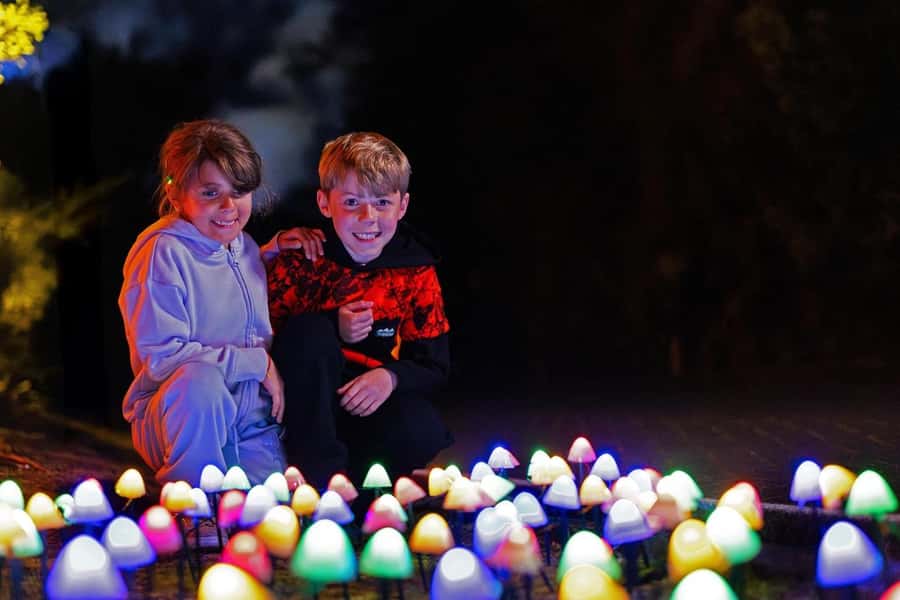 Rotorua: Marama Geyser Light Trail & Geothermal Experience - Is $29 a fair price?