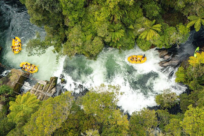 Rotorua Rafting: Kaituna River White Water Rafting & Free Sauna - Timing, weather, and practical planning