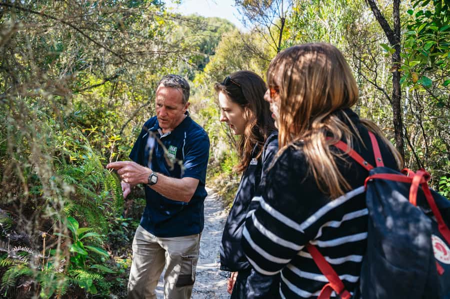 Rotorua: 'Thermal Path Tour' Geothermal half day Tour - Safety is part of the experience