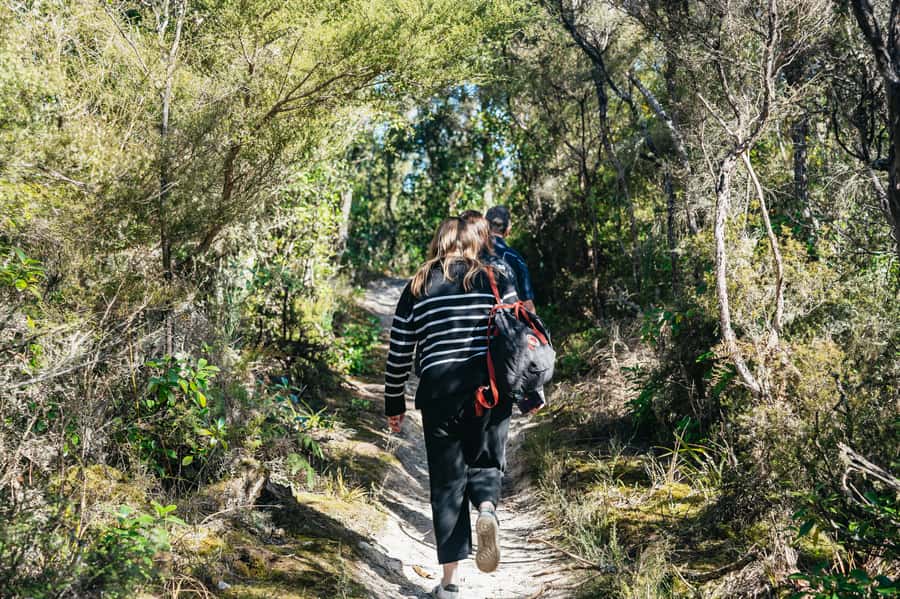 Rotorua: 'Thermal Path Tour' Geothermal half day Tour - Te Manaroa Spring brings you close to boiling water