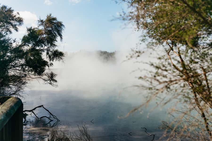 Rotorua: 'Thermal Path Tour' Geothermal half day Tour - What the small group changes
