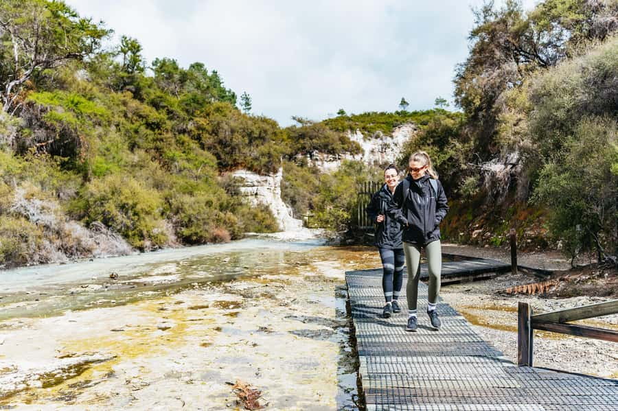 Rotorua: Wai-O-Tapu Geothermal Park Entry Ticket - Start with Lady Knox Geyser at 10:15am