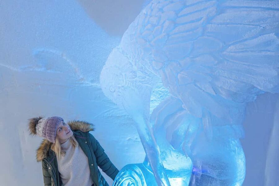 Rovaniemi: Arctic SnowHotel Tour and Snow Sauna Experience - Add dinner in an ice room or beside an open fire