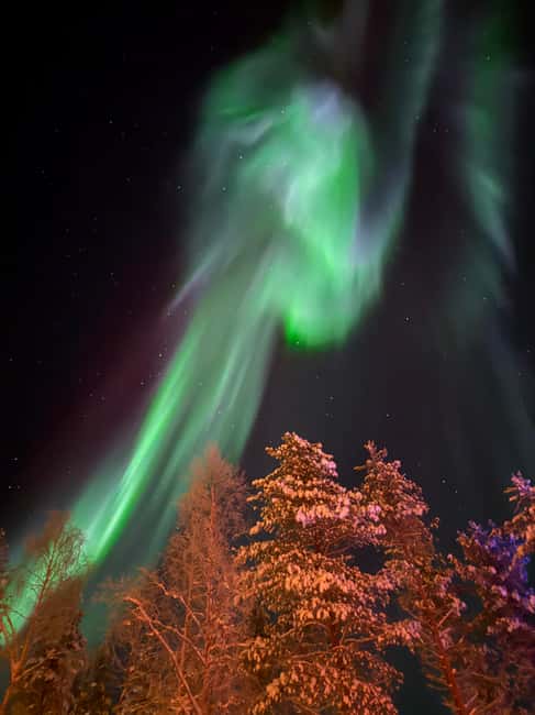 Rovaniemi: Finnish Sauna & Private Jacuzzi - Who should book this activity