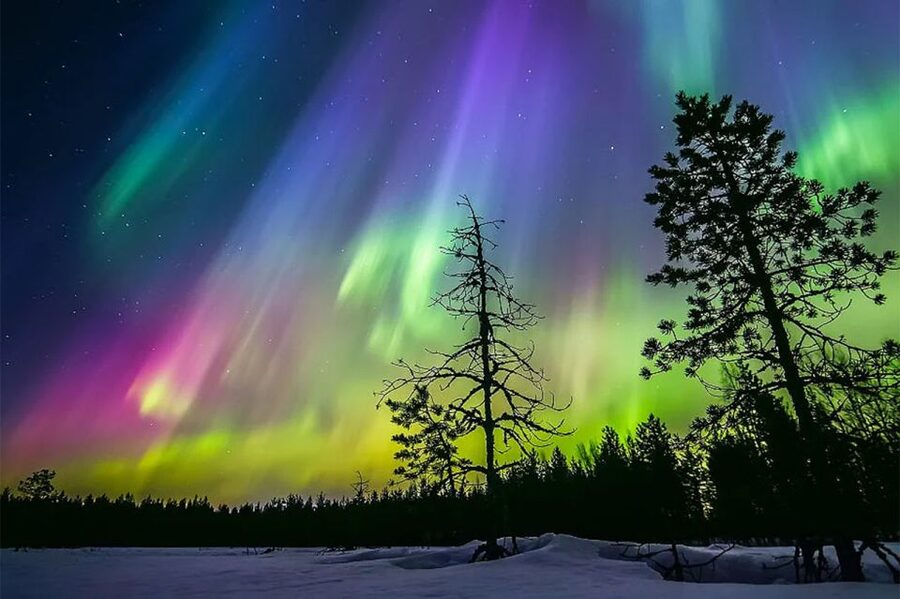 Rovaniemi: Northern Lights Trip with Arctic Sauna & Jacuzzi - Who should choose this experience
