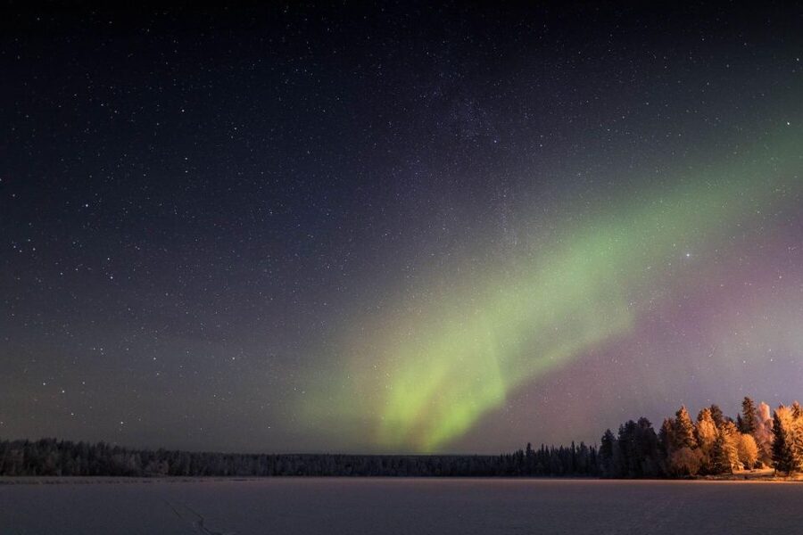 Rovaniemi: Sauna & Ice Swimming Tour with Dinner and Aurora - The guides make a real difference