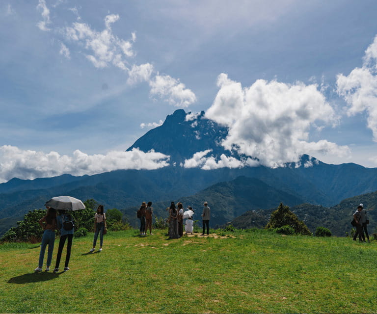 Sabah: Kinabalu Park, Hot Springs, and Cow Farm Day Tour - Desa Cattle Dairy Farm at 11:30