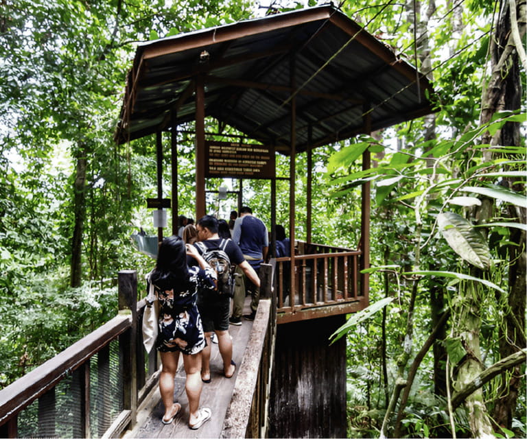 Sabah: Kinabalu Park, Hot Springs, and Cow Farm Day Tour - Is $89 a fair price?