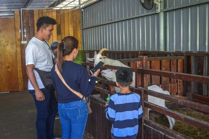 Sabah: Kinabalu Park, Poring Hot Springs & Desa Farm Tour - Is $79 a fair price?