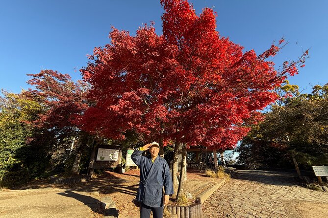 Samurai Guide Sho’s Mt. Takao Hike, Temple & Onsen from Shinjuku - Reaching the summit and looking toward Fuji