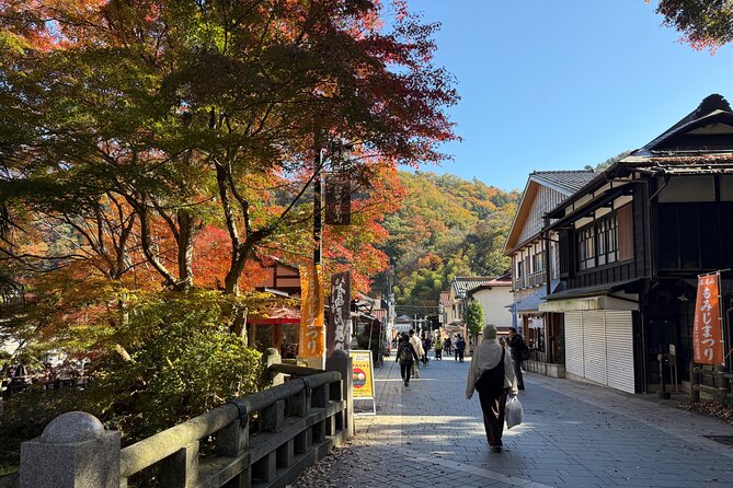 Samurai Guide Sho’s Mt. Takao Hike, Temple & Onsen from Shinjuku - The chairlift ride down, when crowds allow