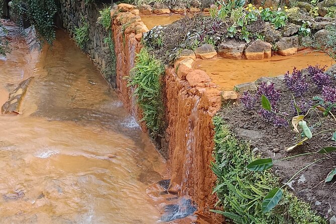 San Miguel : Vulcanic Experience in Furnas (W/ thermal baths) - Santa Iria closes the route with a north coast panorama