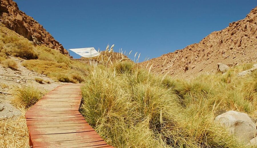 San Pedro de Atacama: Puritama Hot Springs - The guide’s role on the road