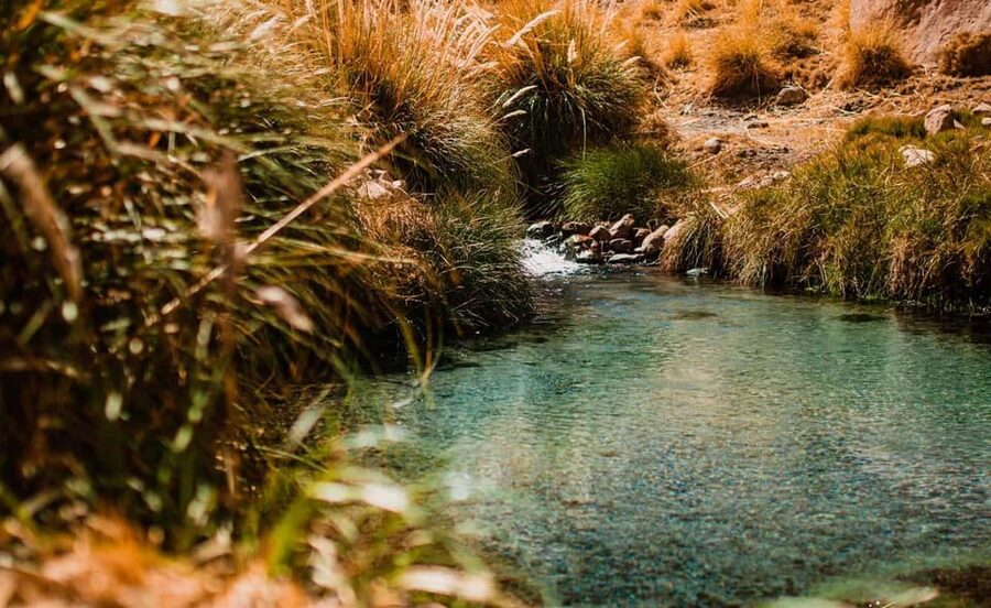 San Pedro de Atacama: Puritama Hot Springs - Who will enjoy this outing most