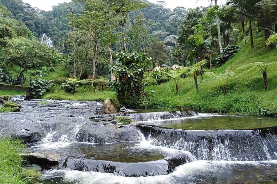 Santa Rosa de Cabal Thermal Hot Springs - The hot pools are the heart of the visit