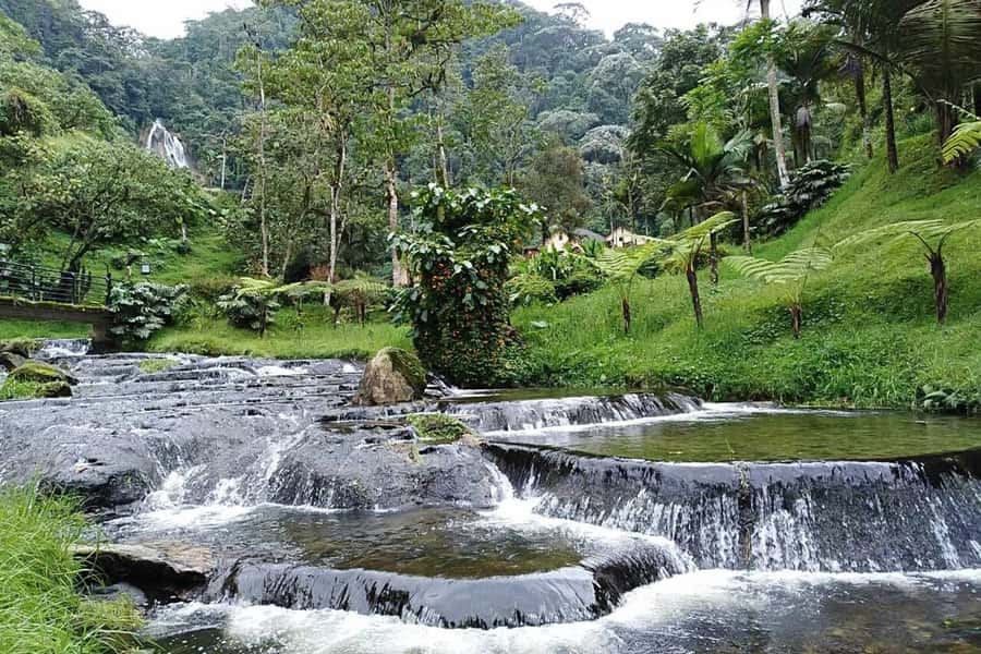 Santa Rosa de Cabal Thermal Hot Springs - Who will enjoy this experience most