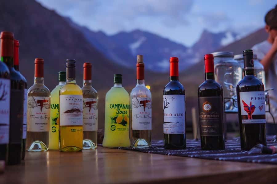 Santiago: Cajón del Maipo Hot Springs & Chilean Barbecue - The guides make a real difference