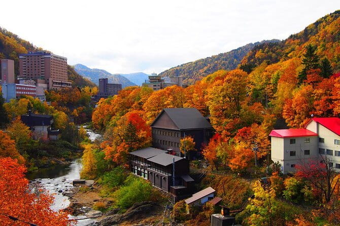 Sapporo Private Sightseeing Tour in Onsen with Special Package - Why the private format changes the value