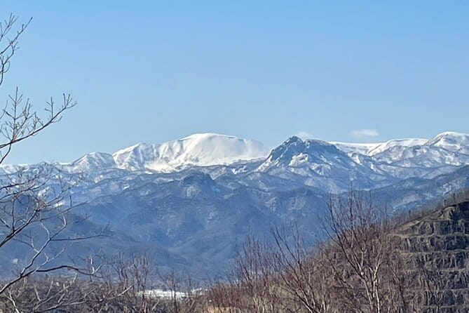 Sapporo Private Sightseeing Tour in Onsen with Special Package - Who will enjoy this day most