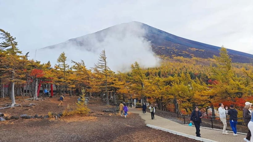 [Seasonal Limited] Mt. Fuji 5th Station &Hot Spring Day Tour - Why this Mt. Fuji day trip works