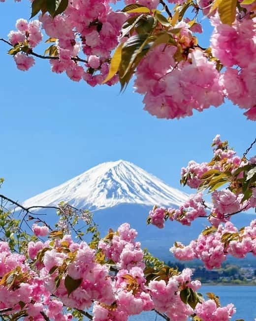 [Seasonal Limited] Mt. Fuji 5th Station &Hot Spring Day Tour - Two hours at Konohananoyu Onsen