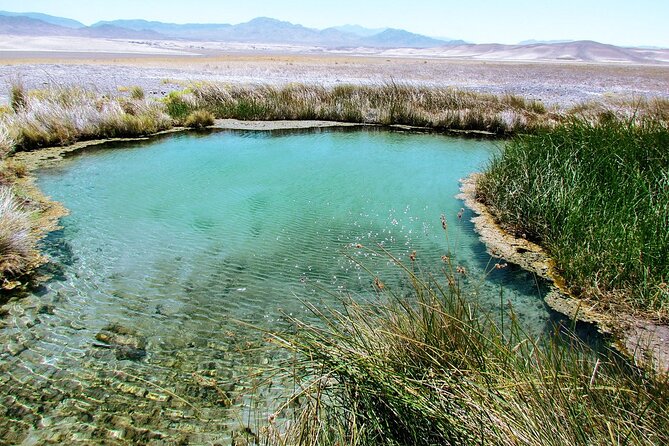 Secret Desert Hot Springs: 4-Hour Private Adventure - Moonrise, stars, and the best time to go