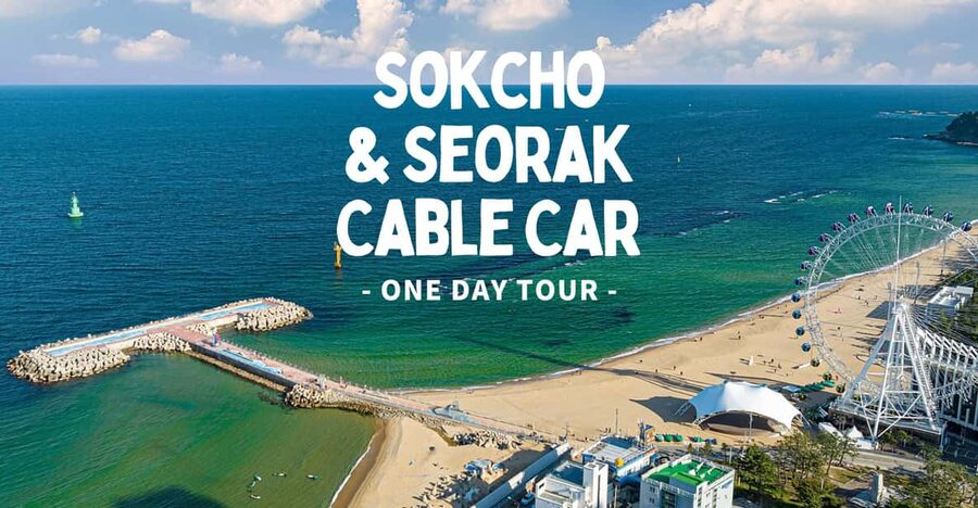 Seoul: Sokcho beach, market, hot spring and Seorak Cable Car - Guides, languages, and the pace of the day