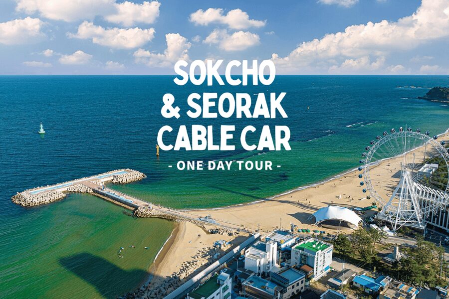 Seoul: Sokcho beach, market, hot spring and Seorak Cable Car - Choosing lunch at Sokcho Tourist and Fishery Market