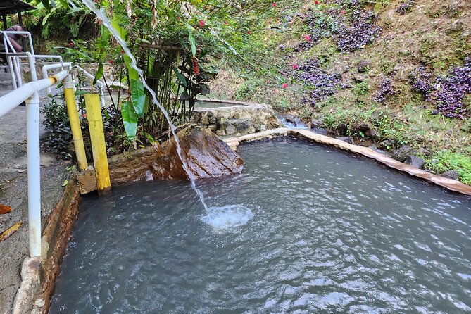 Shoreside Fun-Day with Titou Gorge, Hot Springs & Champagne Reef - Champagne Reef: bubbles, fish, and a rocky entry